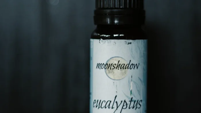 Eucalyptus Essential Oil - Image 3