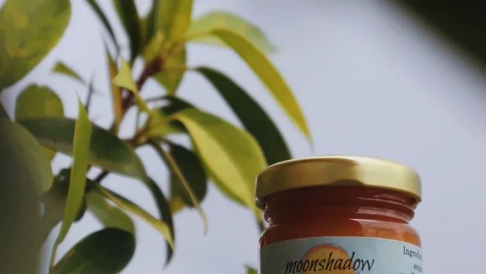 After Sun Salve - Image 3