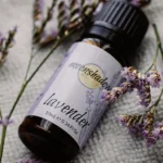Lavender Essential Oil