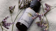 Lavender Essential Oil