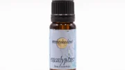 Eucalyptus Essential Oil - Image 2